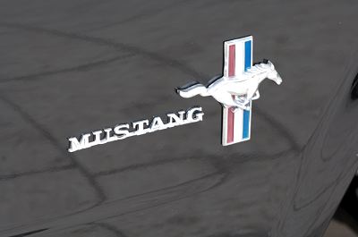 OpenRAW - das Pferd, auf das wir setzen